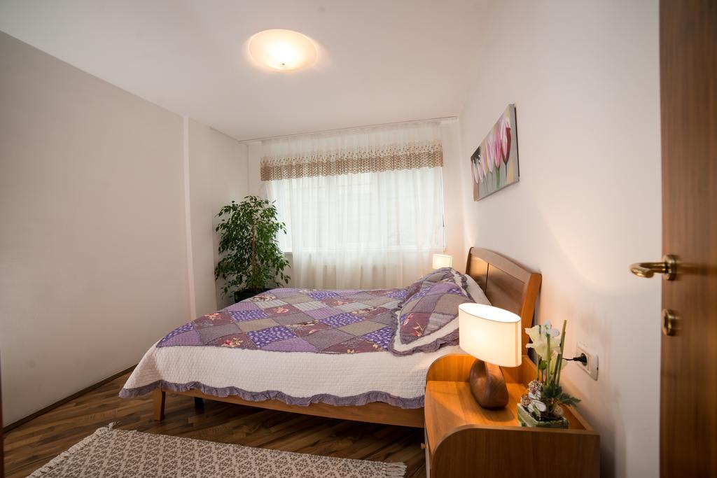 Rox Central Apartments Timişoara Buitenkant foto